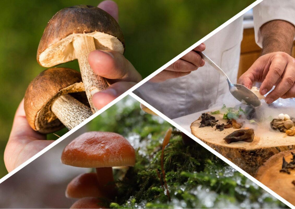 Кулінари пояснили, як готують гриби мешканці Прикарпаття