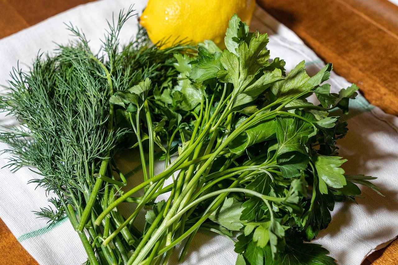 Як підготувати зелень кропу і петрушки до тривалого зберігання