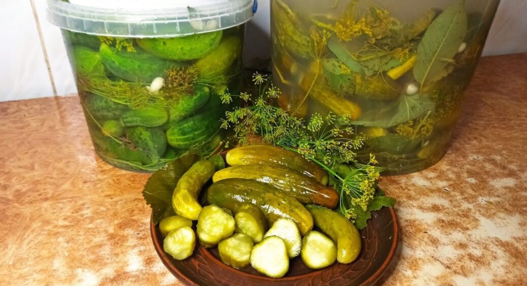 Солоні огірки “Базарні” за рецептом з книги 1956 року: на Закарпатті про них ходила слава 