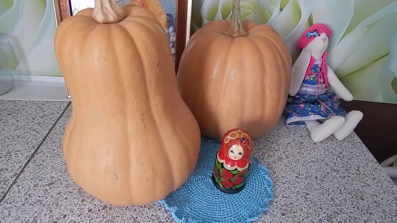 Дачники назвали чудовий спосіб зберігання гарбузів без погреба