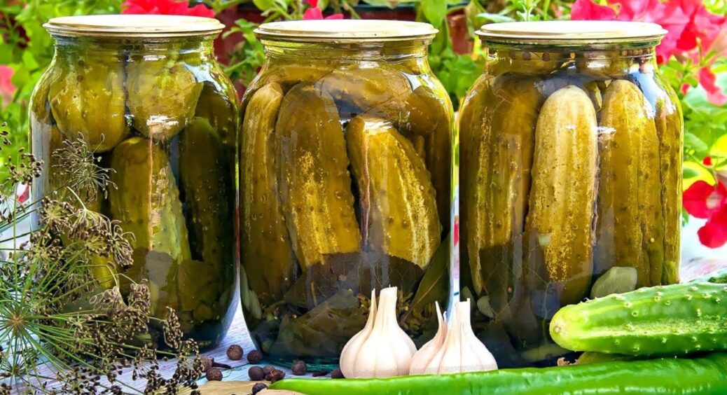Не листя хрону і не вишні: 7 трав, які господині на Волині кладуть у розсіл для огірків 