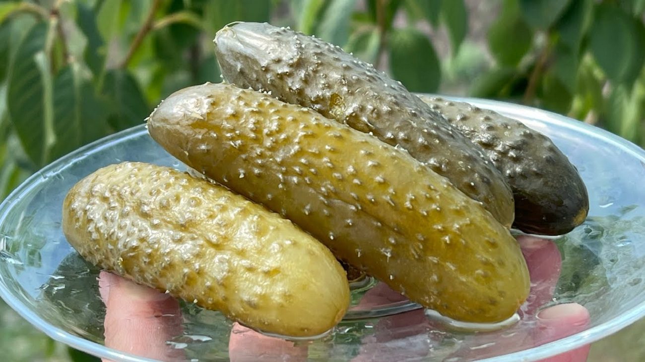 Кулінари пояснили, які існують 3 найкращих рецепти маринованих огірків на зиму