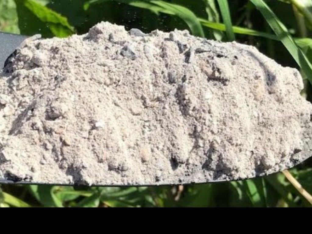 Агрономи назвали ефективне добриво для картоплі