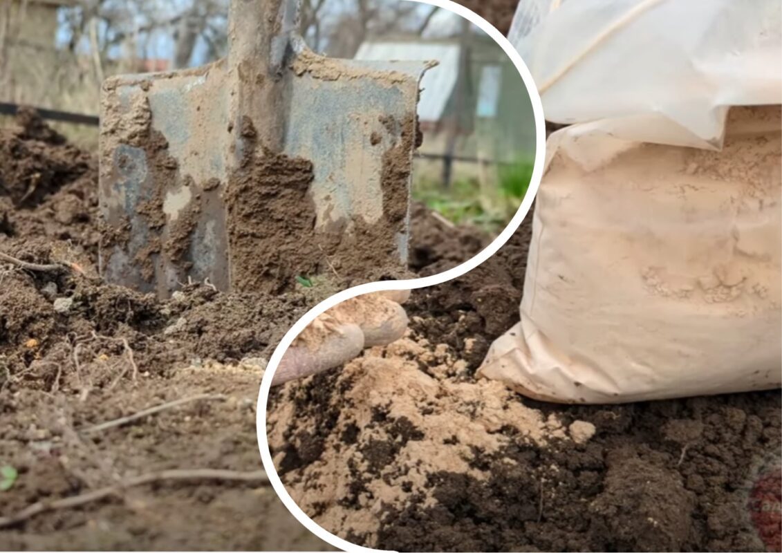 Городники розповіли, як зробити землю на городі пухкою та родючою