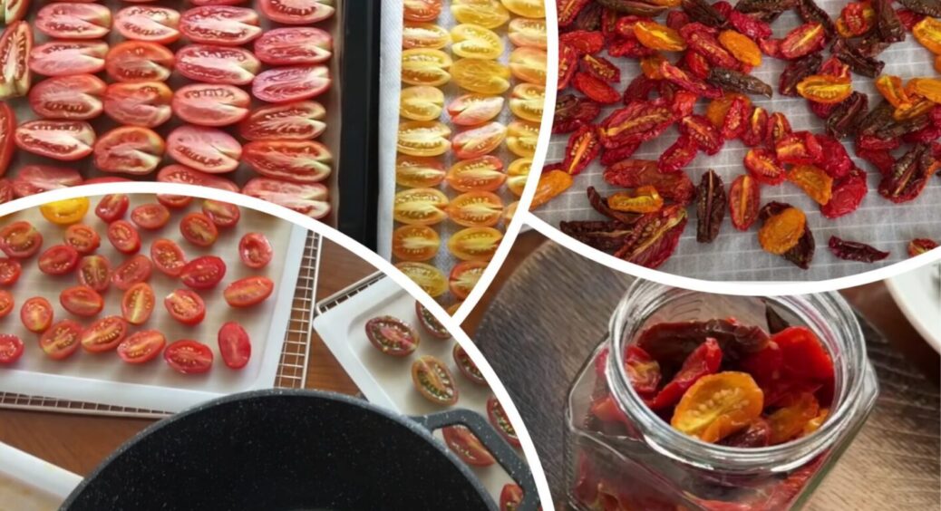 В’ялені овочі за 3 дні без духовки – лайфхак розумних господинь при аномальній спеці 