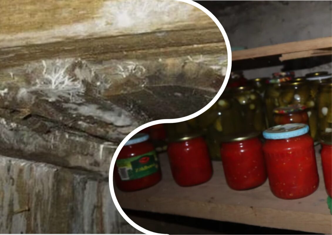 Городники розповіли, як швидко позбутися плісняви та грибків у льоху