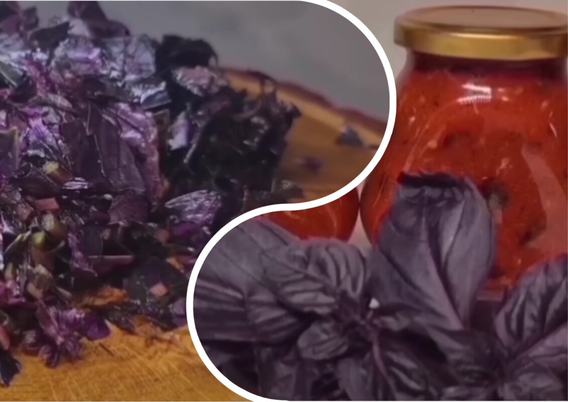 Кулінарка дала рецепт модного томатно-базилікового соусу