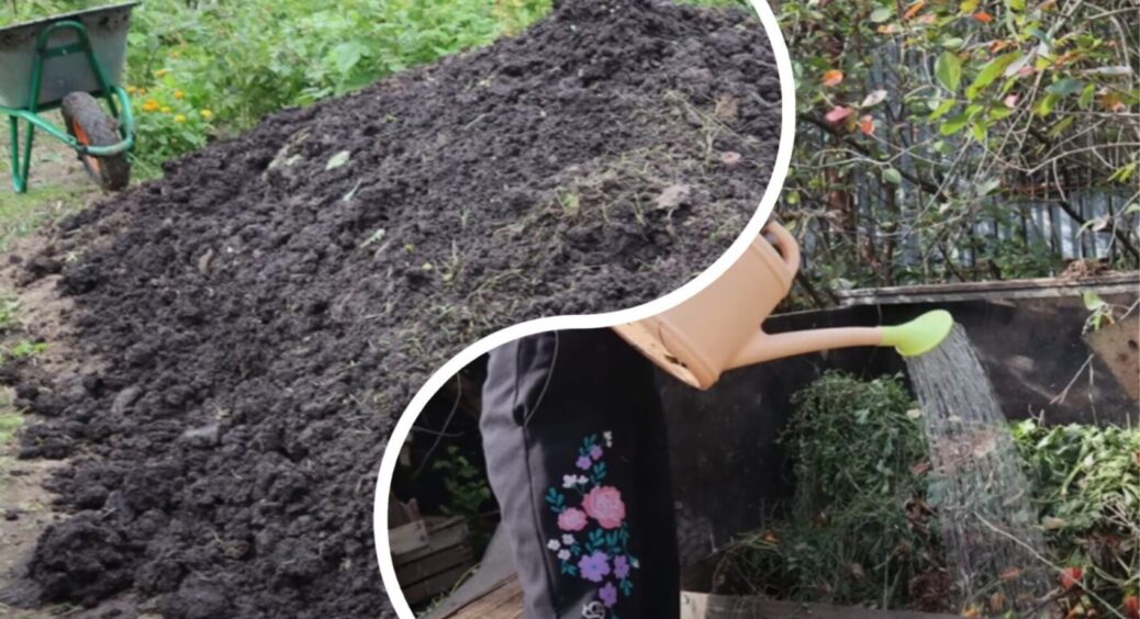 Бабуся із Полтави навчила, як правильно робити чорний компост: 5 секретів ідеального перегною 
