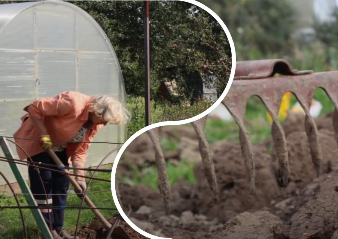 Городники розповіли, що потрібно зробити обов'язково цієї осені з землею