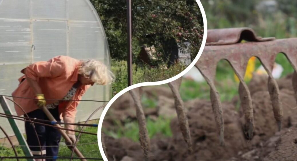 Навіщо мама робить ЦЕ щоосені на городі? Після такої хитрості врожайність збільшується у 2 рази 