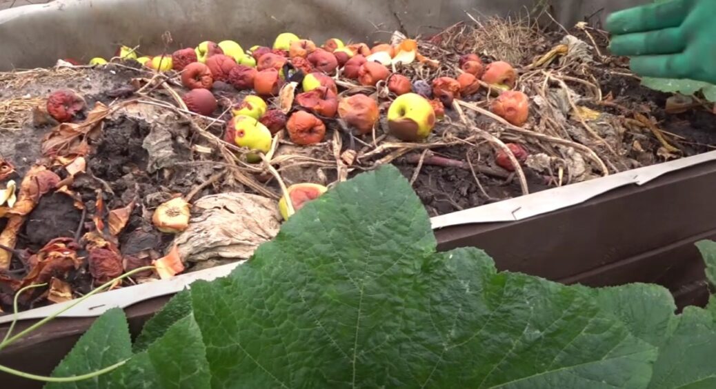 Як легко приготувати осінній компост у 3 рази швидше: додайте ЦЕ і він дозріє вже за 2-3 тижні 