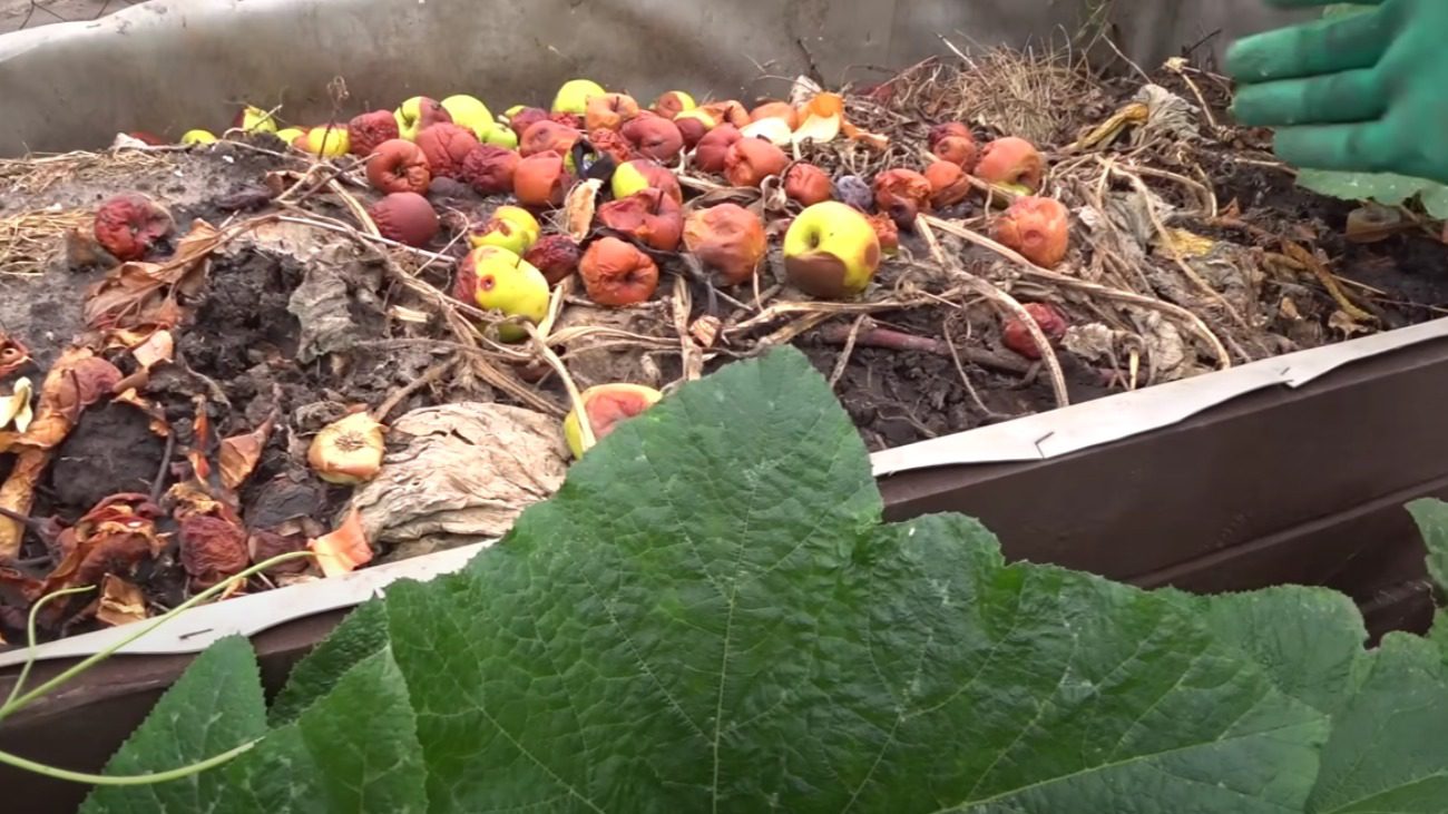 Городники розповіли, як приготувати компост у 3 рази швидше