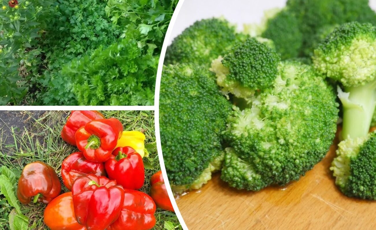 Експерти назвали 5 овочів, які зберігають смак та всі вітаміни після заморожування