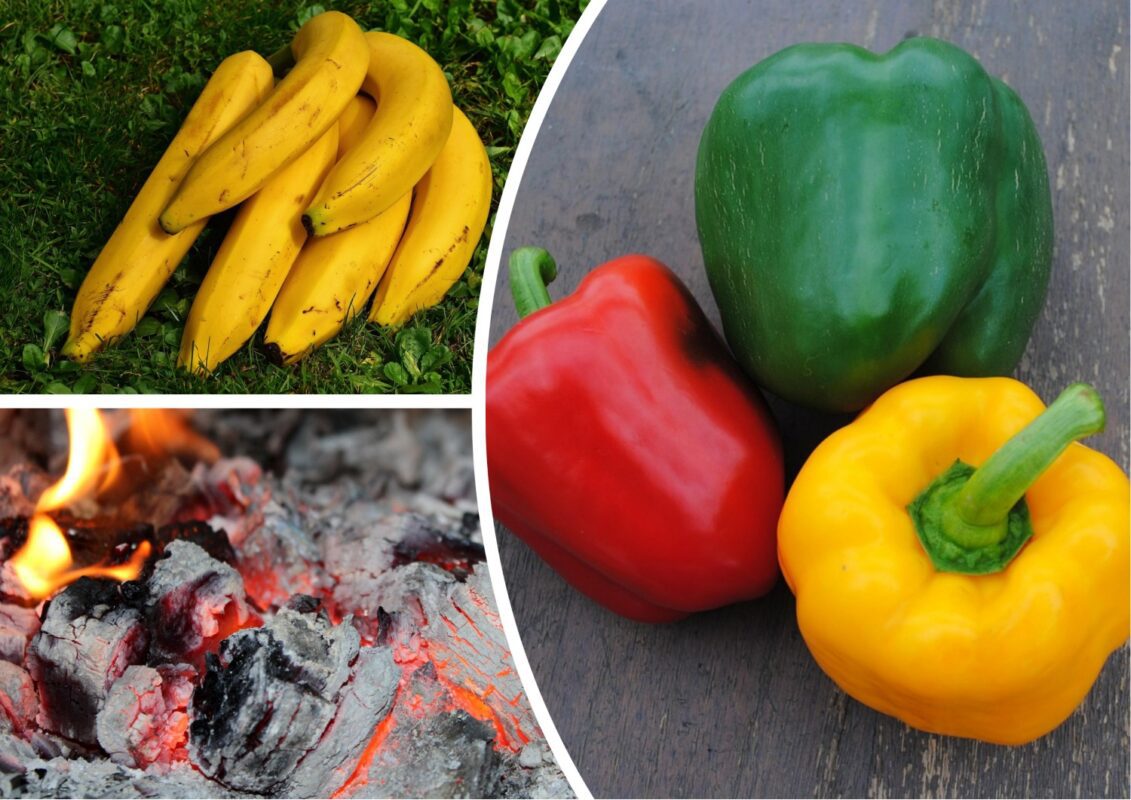 Агрономи розповіли, чим підживити солодкий перець в серпні