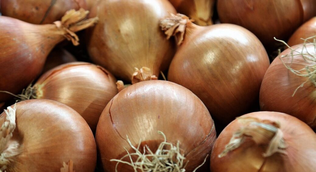 Урожай цибулі майже без поливу: секрет 1 сорту, який всі вирощують у Черкаській області 
