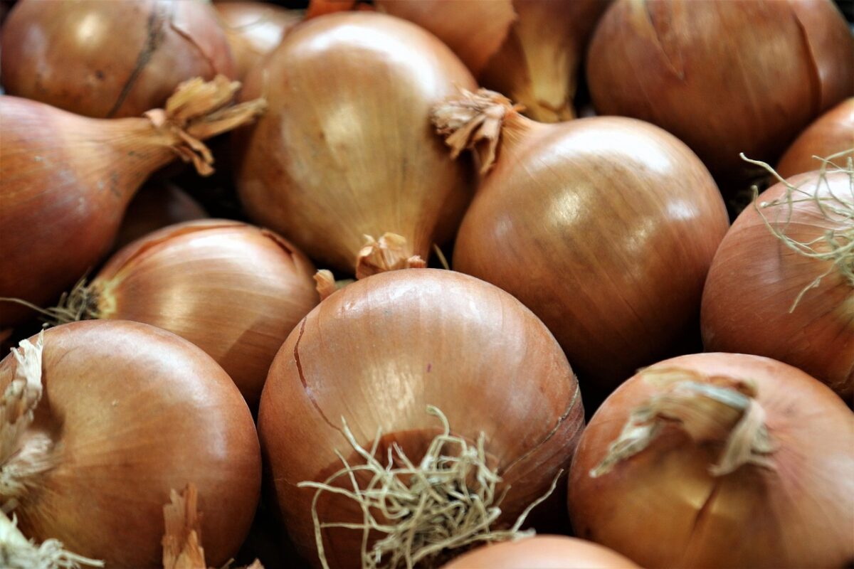 Городники розповіли, що не можна садити після цибулі – врожаю не буде Городники розповіли, що не можна садити після цибулі – врожаю не буде