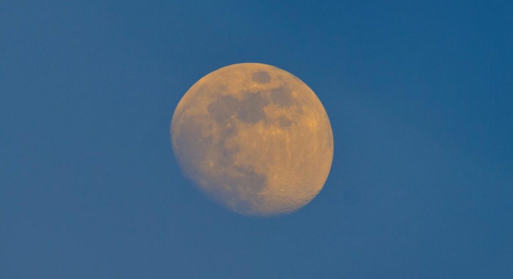 Садові роботи за місячним календарем: які дні сприятливі для щеплення, поливу, збору плодів 