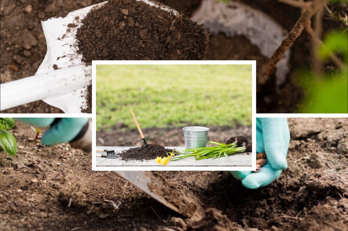 Дачники розповіли, що робити на городі після того, як зібрали весь врожай