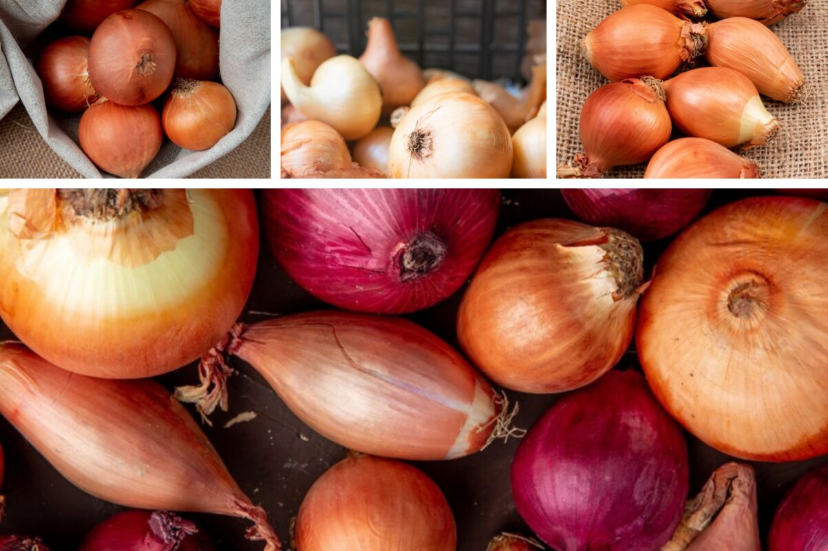 Городники розповіли, що треба зробити з цибулею після збору врожаю