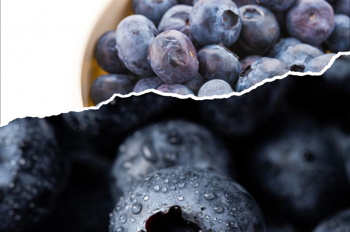 Садівники розповіли, як зберігати лохину, не використовуючи холодильник