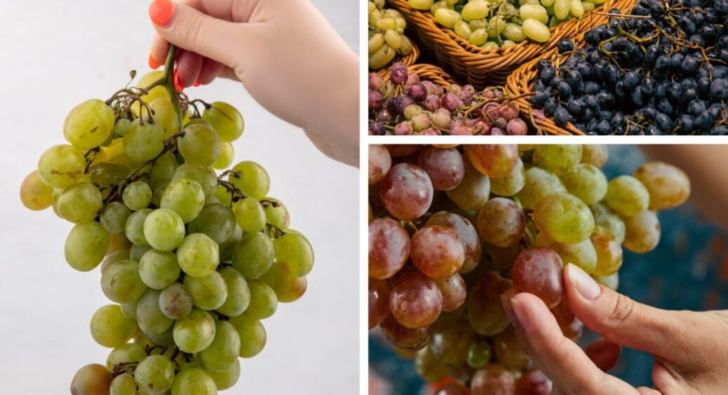 Не більше 150 г на день: чому виноград не такий корисний, як нам здається – кому не можна їсти 