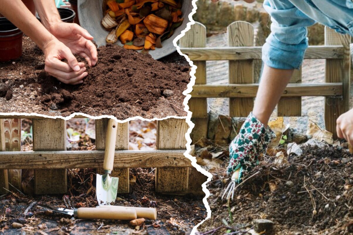 Городники розповіли, як правильно приготувати компост – що не можна додавати