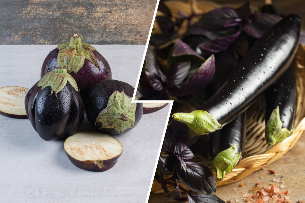 Городники розповіли секрет вдвічі більшого врожаю баклажанів – що треба зробити