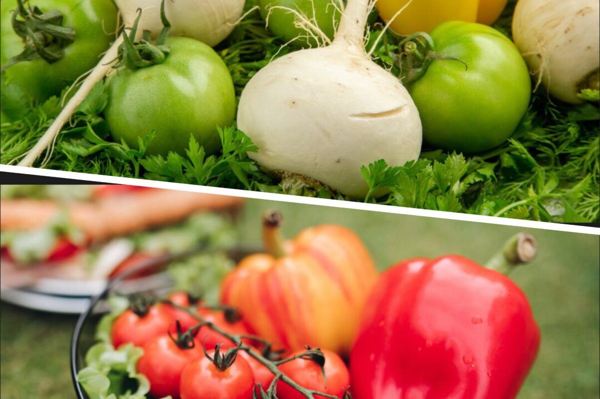 Городники розсекретили список культур, які можна посадити в серпні 2025