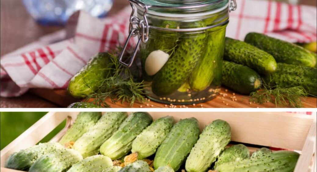 Чоловік облизує пальці – смакота ще та!  Закриваю огірки холодним способом – рецепт на 10 з 10 