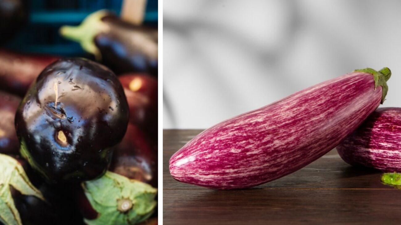 Городники розповіли, чим треба полити баклажани в серпні, щоб врожай вразив всіх