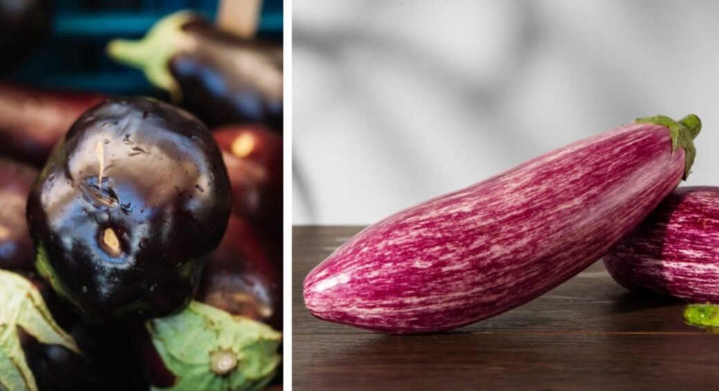 Без цього сині у 2025-му не визріють: розчиняю у відрі ці 3 продукти – і баклажани сяють 