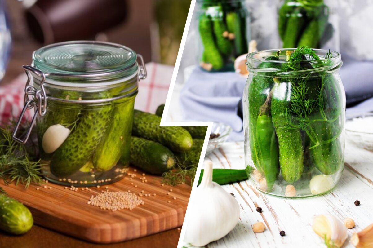 Кулінари розсекретили рецепт малосольних огірків у пакеті – ідеальна закуска