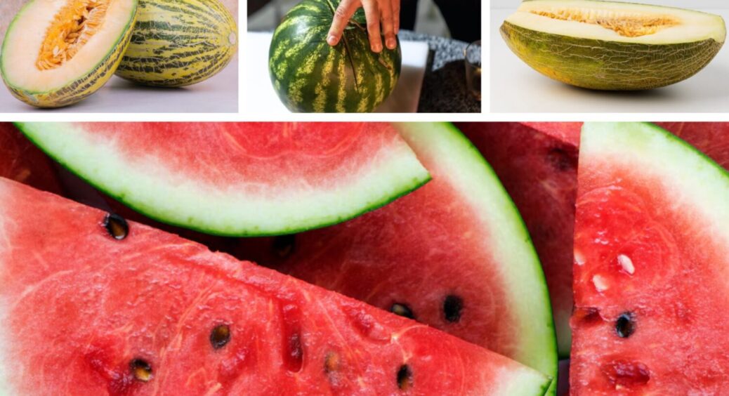 Як вибрати найсолодшу диню та найсолодший кавун: 2 секрети, 3 поради і 5 тонкощів 