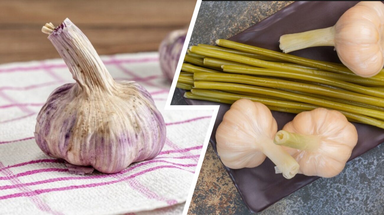 Городники розсекретили сприятливий час для викопування часнику в серпні 2025