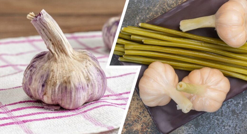 Ніколи не збираю часник з грядок до “знакового” дня: ось коли в 2025-му можна це робити 