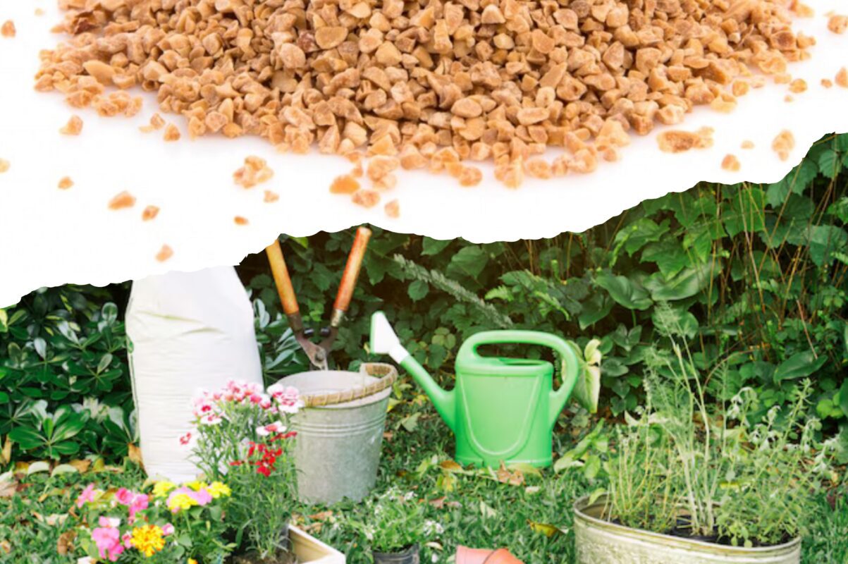 Дачники розповіли, наскільки корисним є вермикуліт на ділянці – як застосовувати