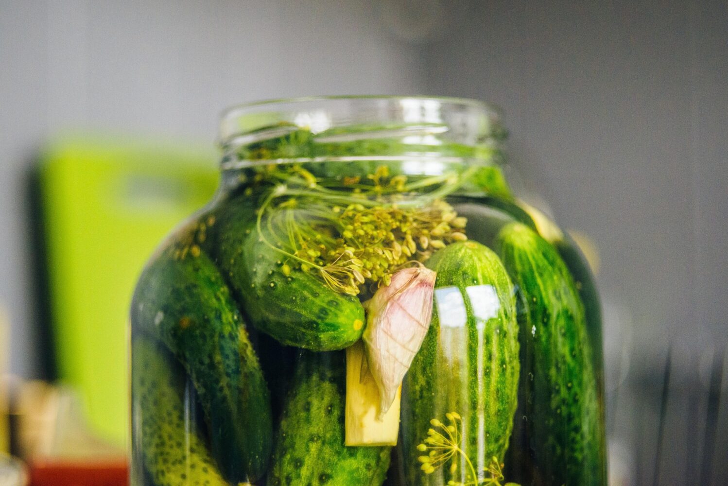 Кулінари пояснили, які трави кладуть у розсіл для огірків на Житомирщині