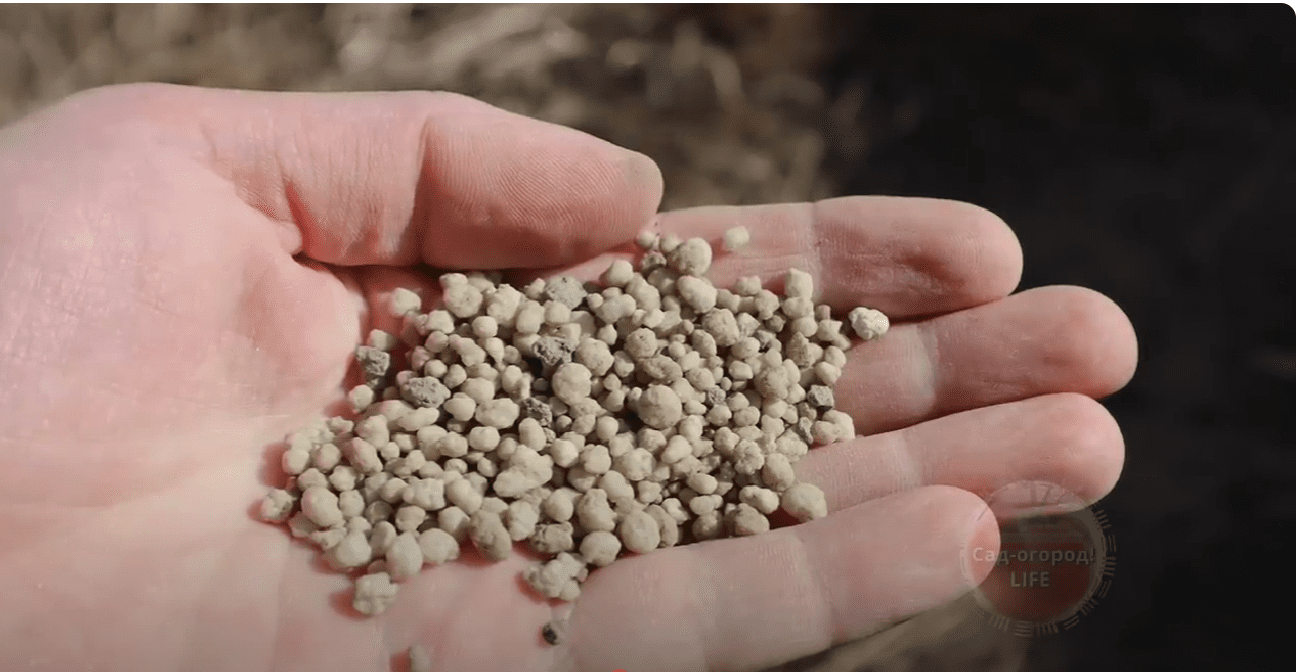 Городники розповіли, що треба насипати на грядки, щоб отримати мега-врожай