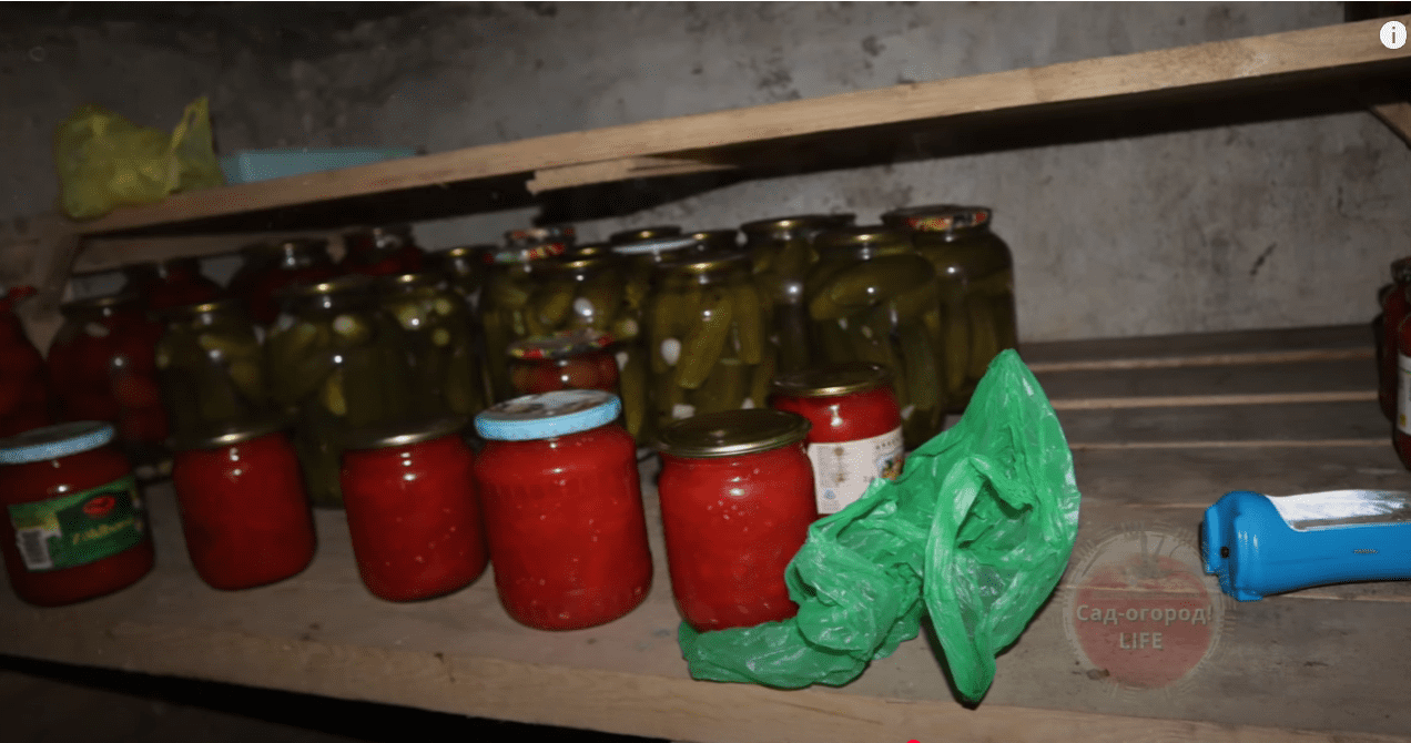 Як швидко позбутися плісняви та грибків у льоху