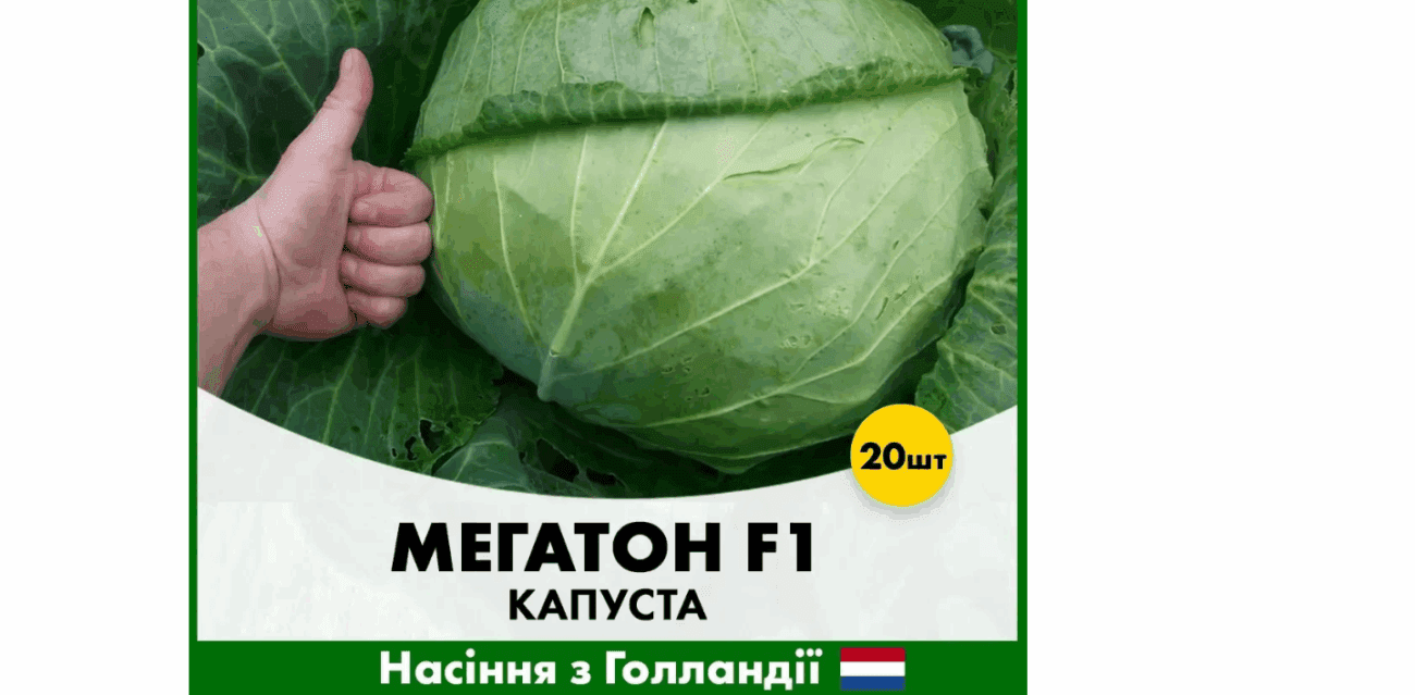 Городники назвали найкращий сорт капусти