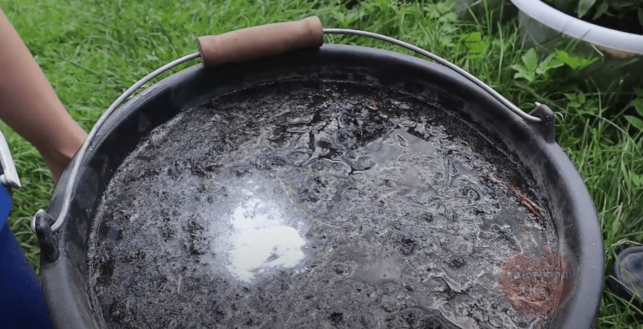 Городники розповіли, що зробити для швидкого дозрівання томатів