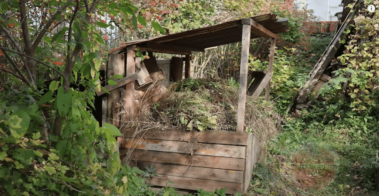 Городники розповіли, куди подіти бадилля від томатів восени