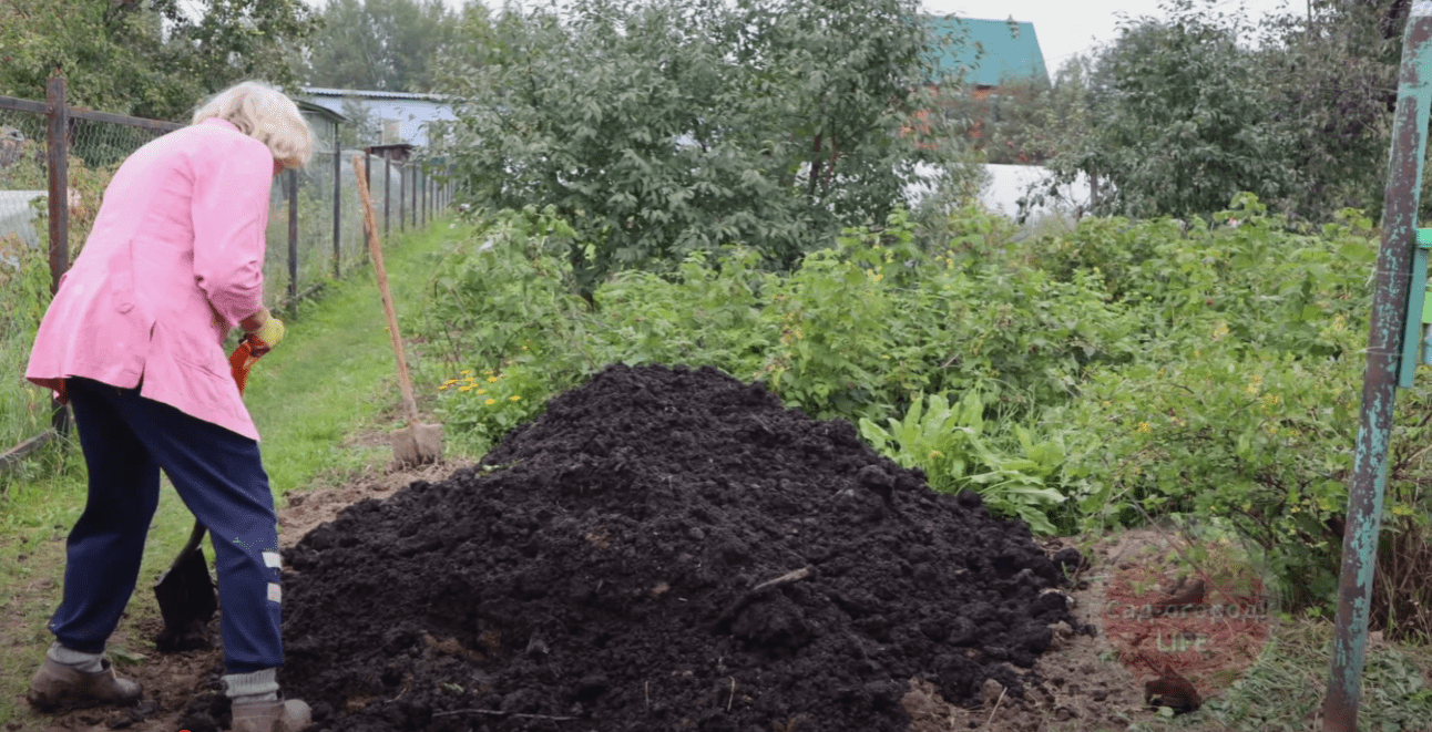 Городники розповіли, що потрібно зробити обов'язково цієї осені з землею