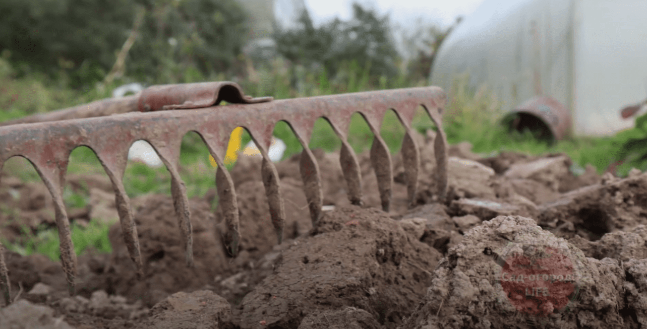 Городники розповіли, що потрібно зробити обов'язково цієї осені з землею