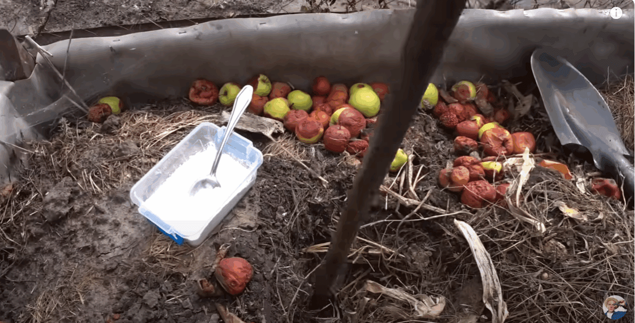 Городники розповіли, як приготувати компост у 3 рази швидше