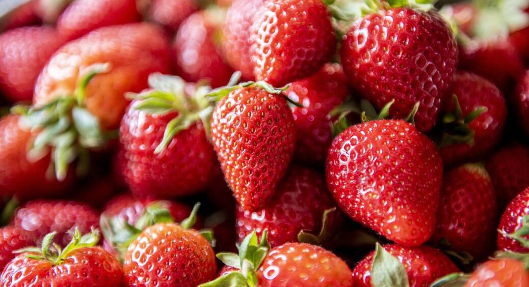 Жодної хімії: просто посипаю полуницю цим порошком – і вона не хворіє та дає ягоди до осені 