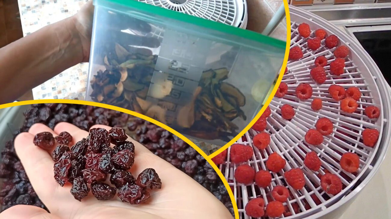 Господині на Львівщині розповіли, які плоди сушать у серпні