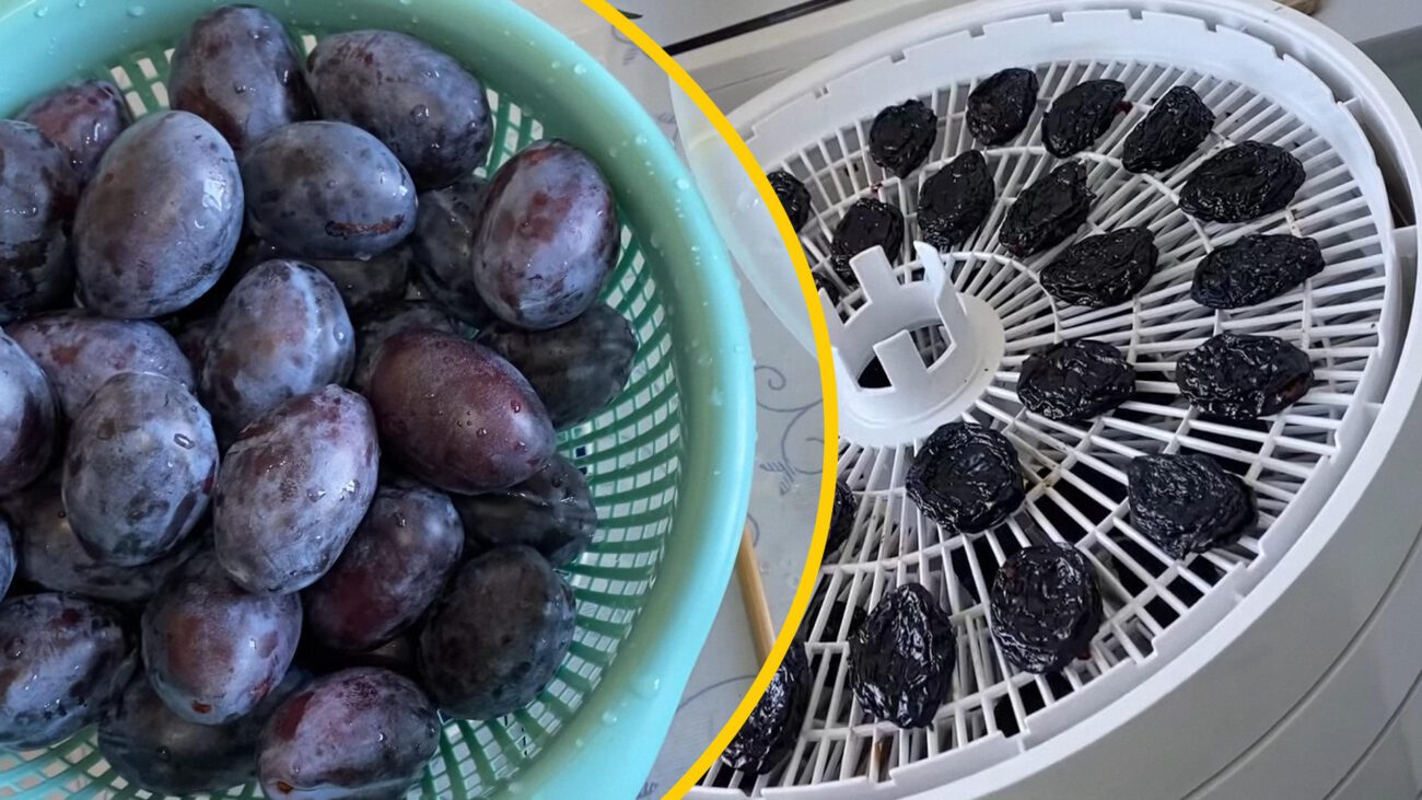 Господині на Львівщині розповіли, які плоди сушать у серпні