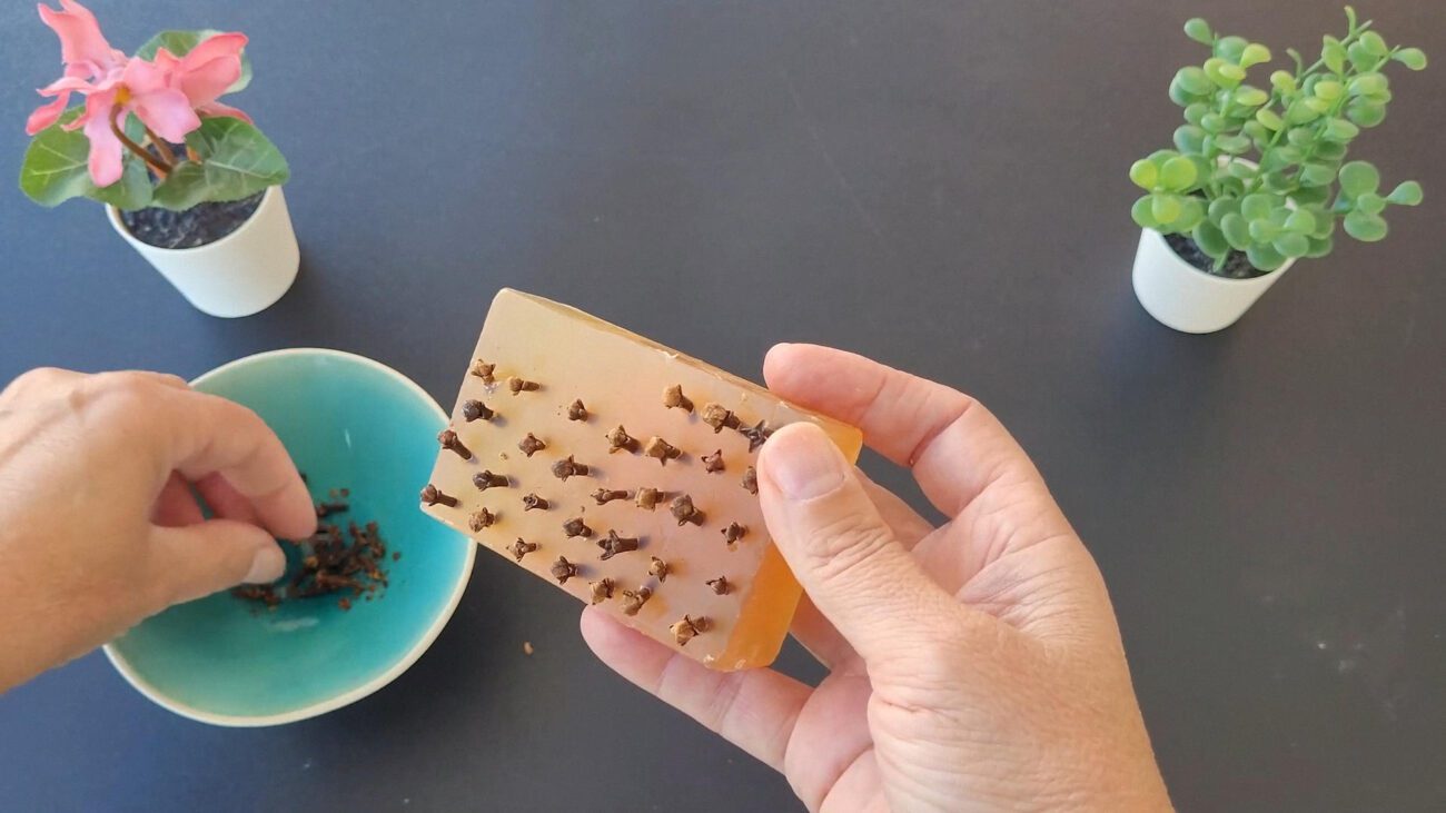 Флористи назвали запахи, що відлякують мошок з дому і вазонів