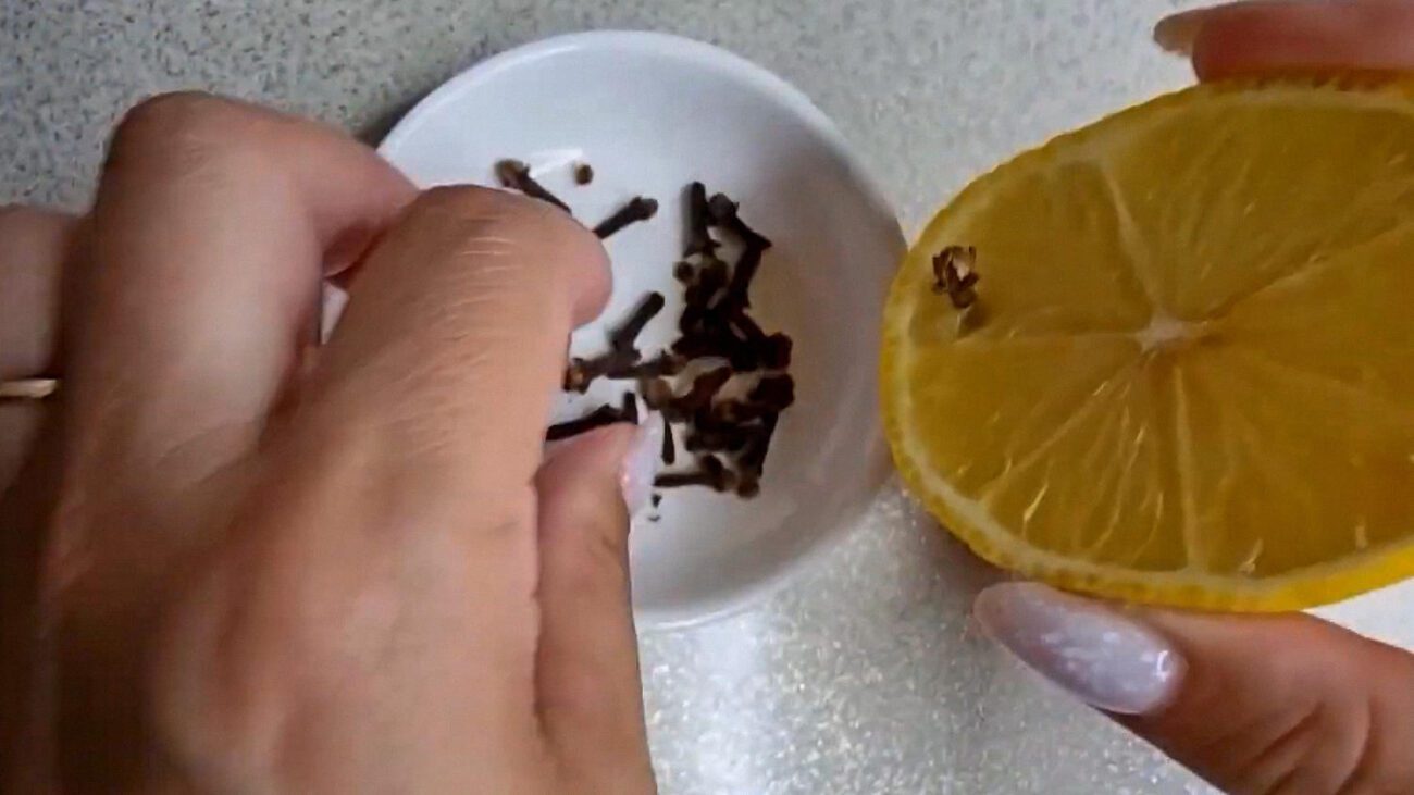 Господині назвали ефективні засоби проти мошки